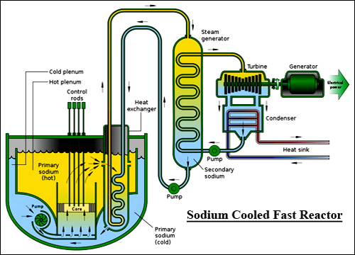 Sodium Fast Reactor